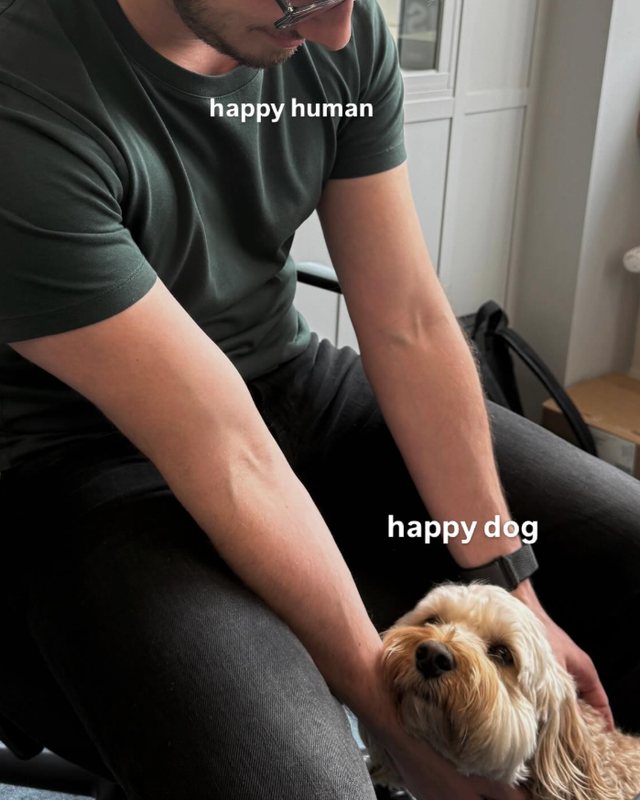 Happy human, happy dog