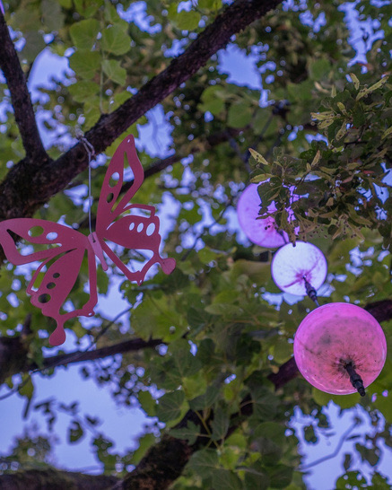 Sommerüberspannung in der Altstadt