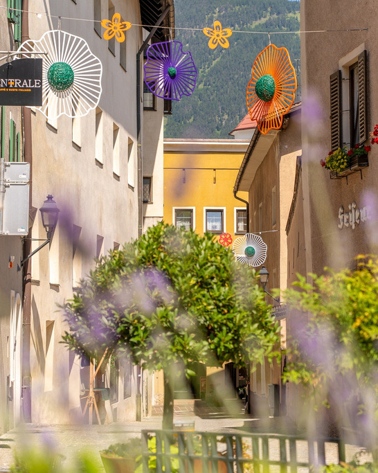Sommerüberspannung in der Altstadt